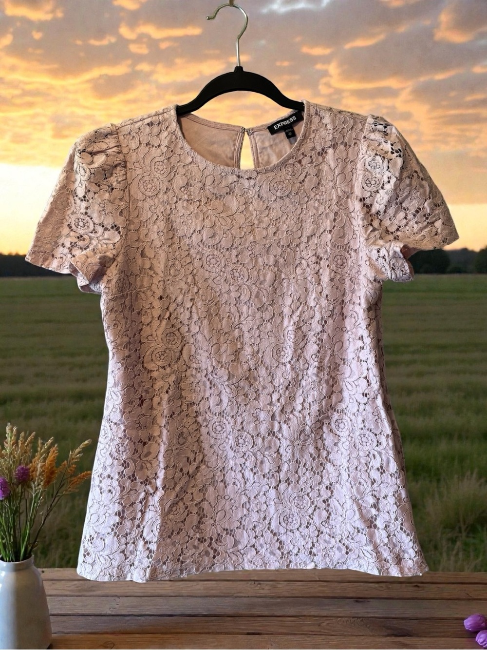 Express Blush Pink Lace Short Sleeve Top